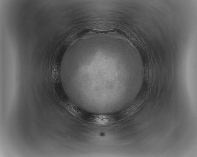 X0000113570091200909181256