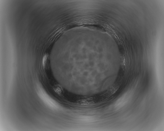 X0000113570095200909181256
