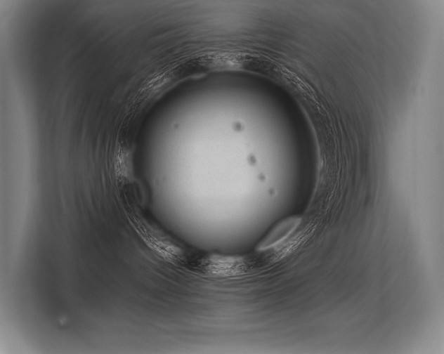 X0000113570096200909181256
