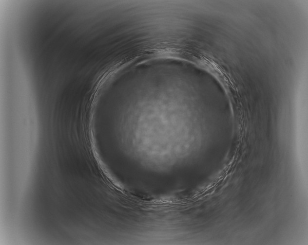 X0000113570097200909181255