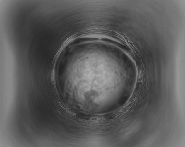 X0000113570099200909181255