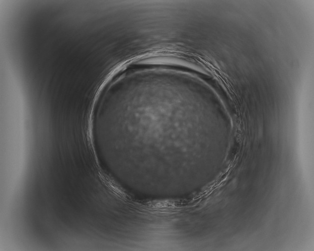 X0000113570100200909181255