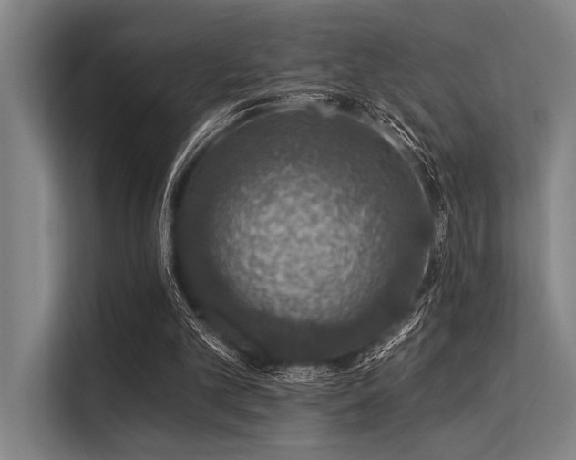 X0000113570101200909181255