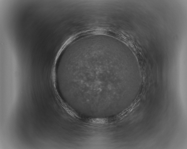 X0000113570102200909181255