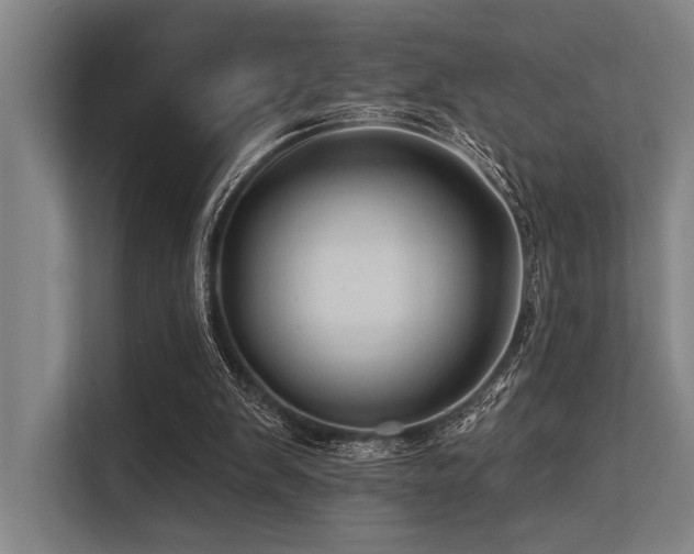 X0000113570103200909181255