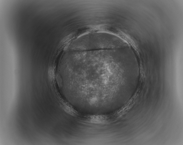 X0000113570105200909181255