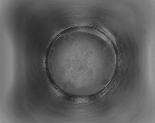X0000113570107200909181255