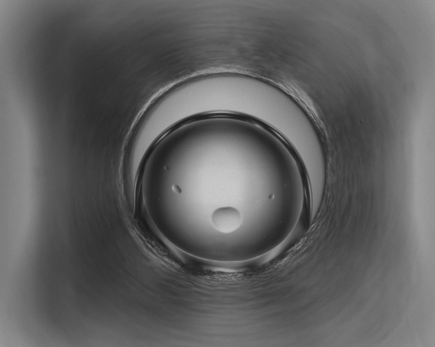 X0000113570108200909181255