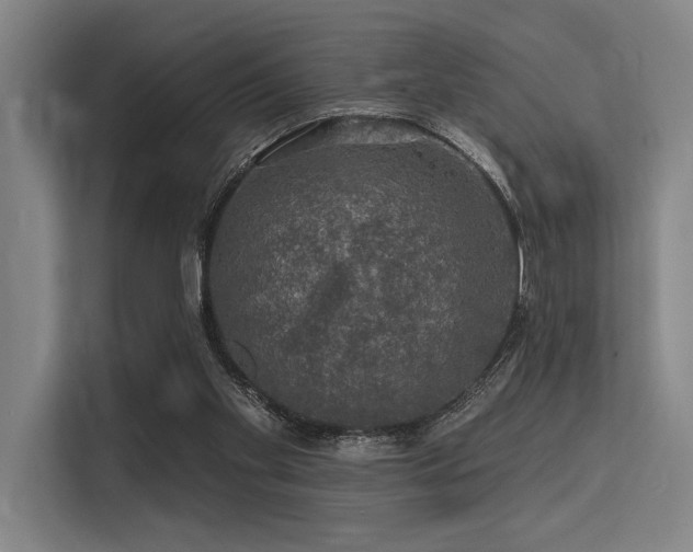 X0000113570109200909181255