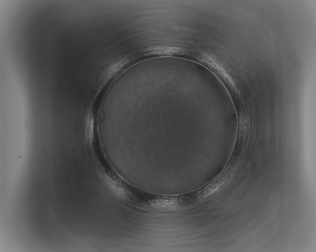 X0000113570110200909181255