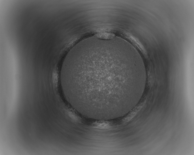 X0000113570113200909181255