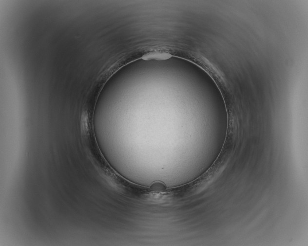 X0000113570117200909181255