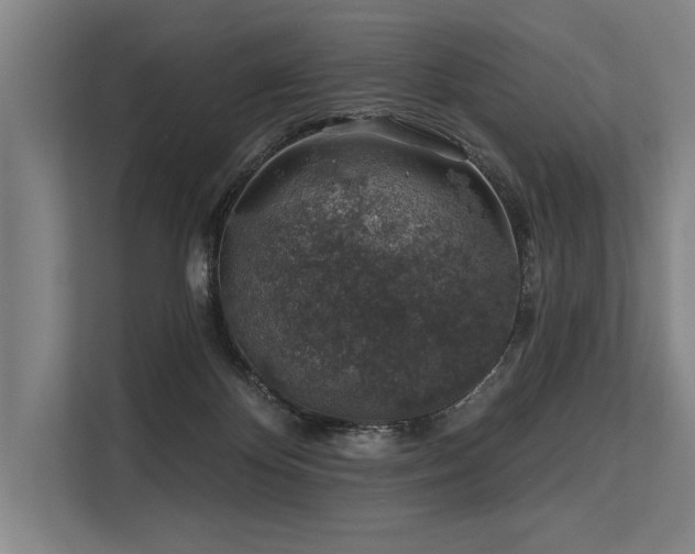 X0000113570124200909181255