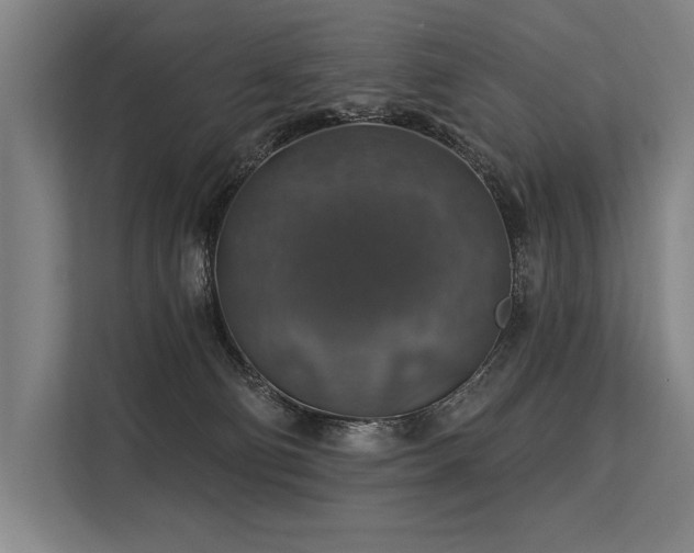 X0000113570130200909181255