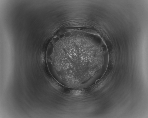 X0000113570131200909181255