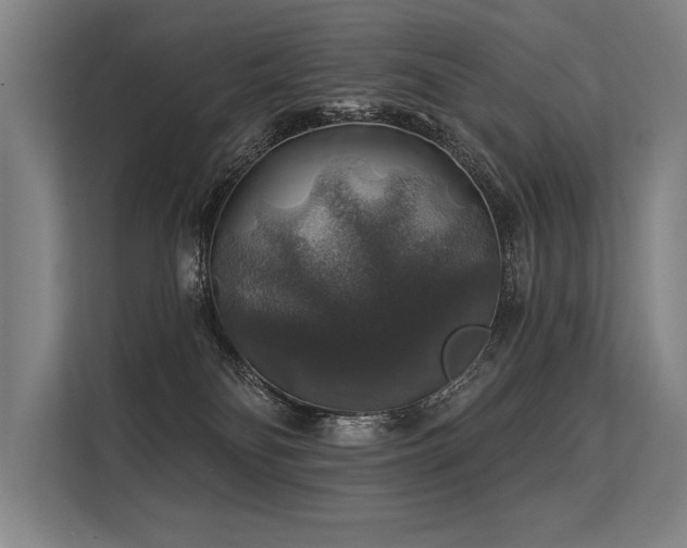 X0000113570134200909181255