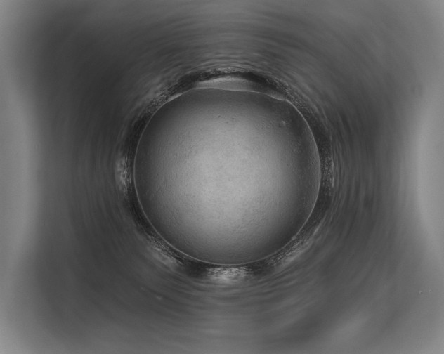 X0000113570135200909181255