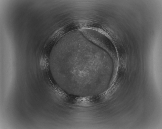 X0000113570140200909181255