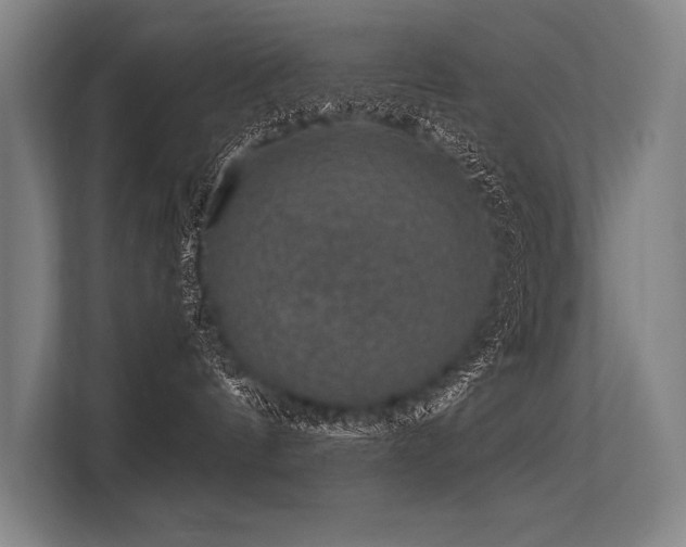 X0000113570144200909181254