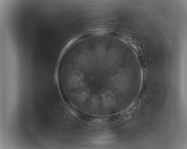 X0000113570147200909181254