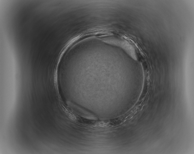 X0000113570148200909181254