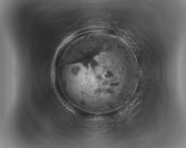 X0000113570149200909181254