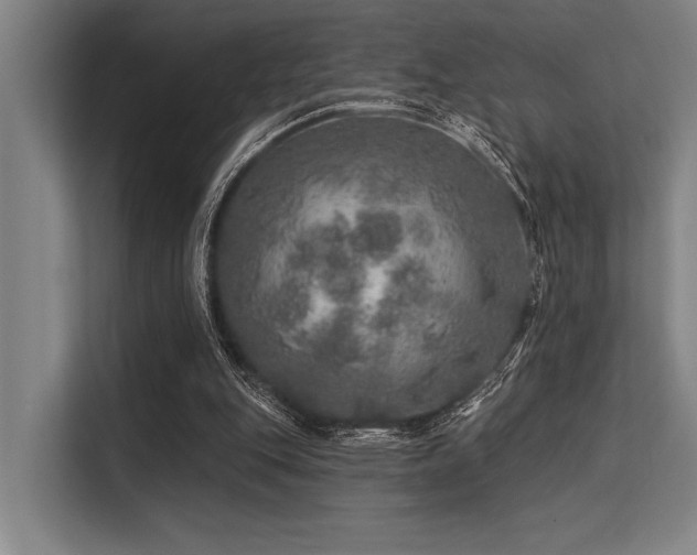 X0000113570151200909181254