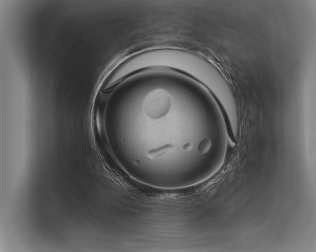 X0000113570152200909181254