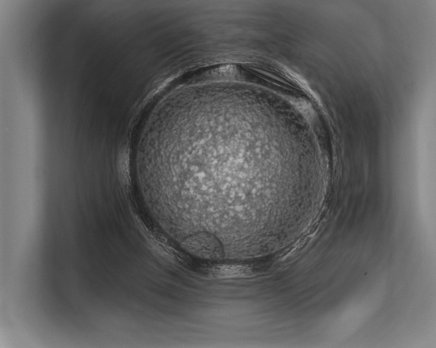 X0000113570154200909181254