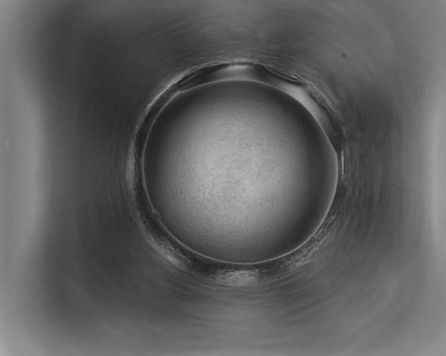 X0000113570156200909181254
