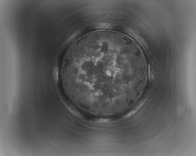X0000113570157200909181254