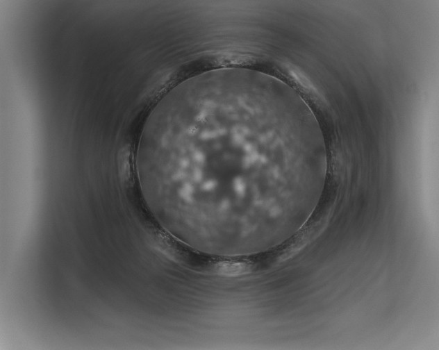 X0000113570169200909181254