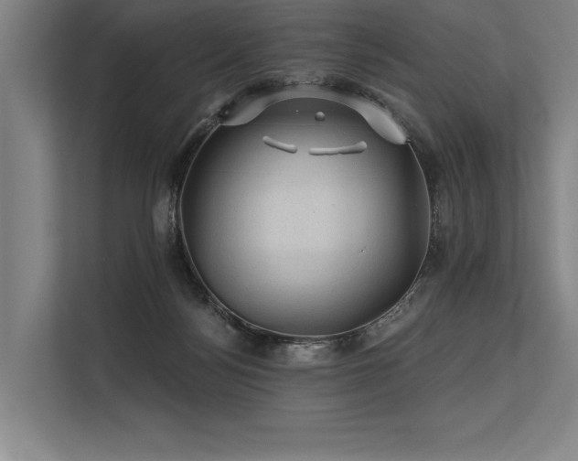 X0000113570172200909181254
