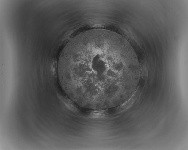 X0000113570175200909181254