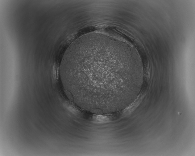 X0000113570180200909181254
