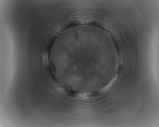 X0000113570182200909181254