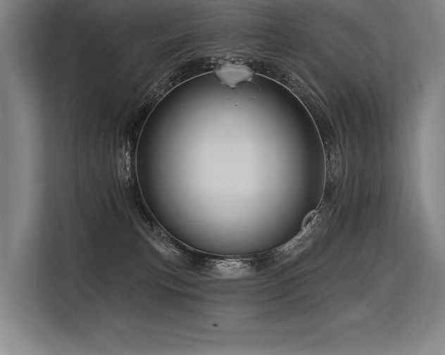 X0000113570183200909181254