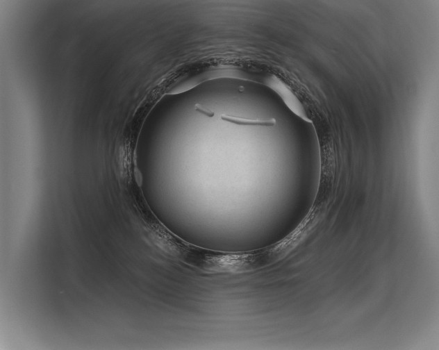 X0000113570184200909181254