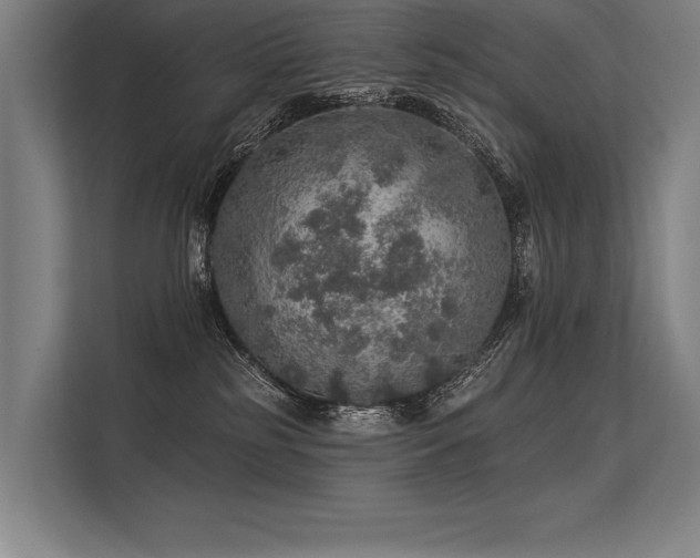 X0000113570185200909181254