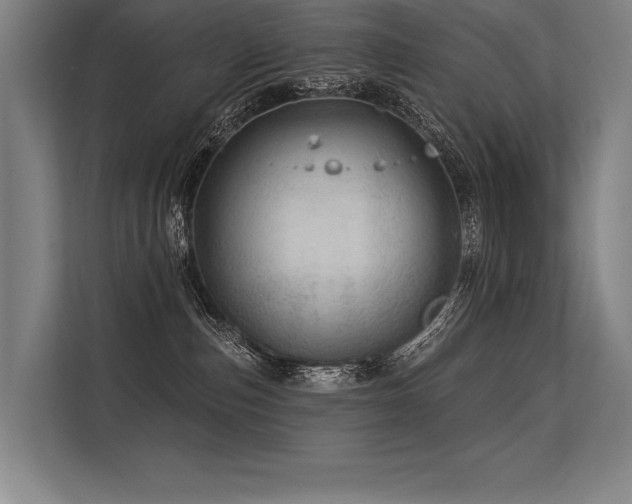 X0000113570187200909181254