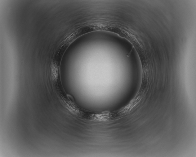 X0000113570188200909181254