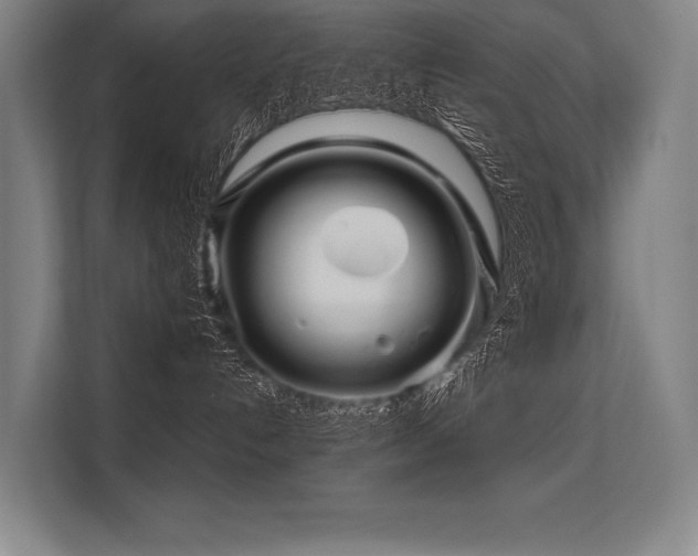 X0000113570192200909181254