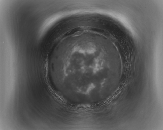 X0000113570194200909181254