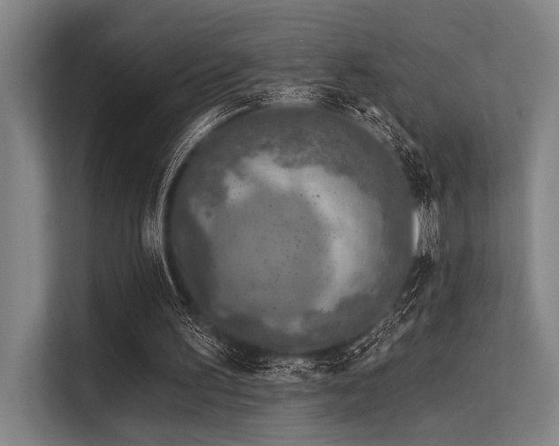 X0000113570195200909181254