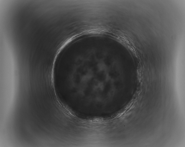 X0000113570196200909181254