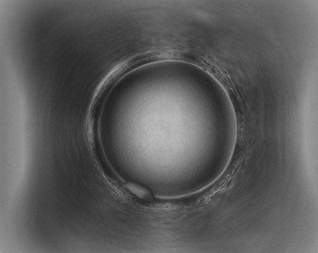 X0000113570197200909181254