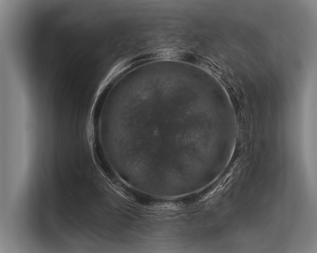 X0000113570198200909181254