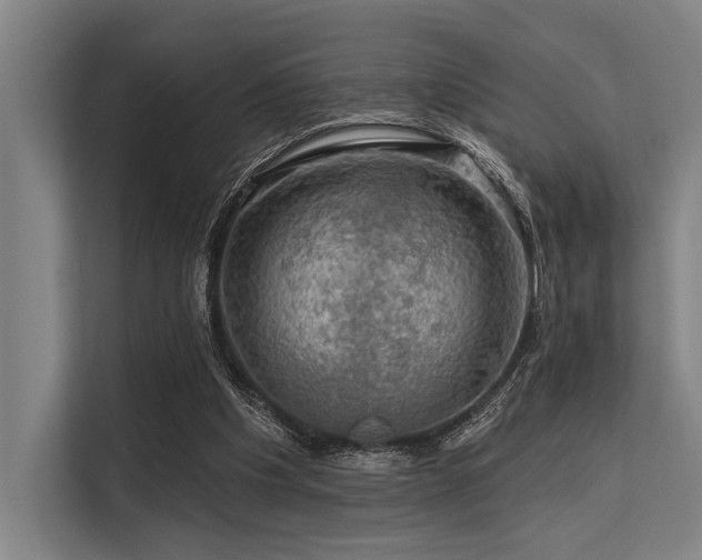 X0000113570201200909181254