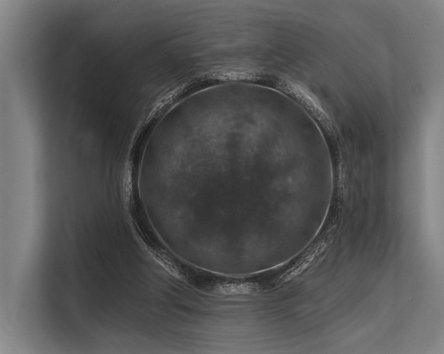 X0000113570202200909181254