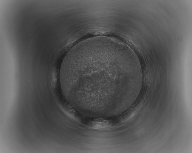 X0000113570215200909181254